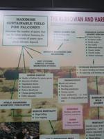 Falkenklinik Abu Dhabi