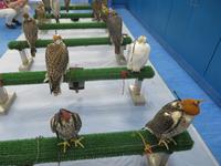 Falkenklinik Abu Dhabi