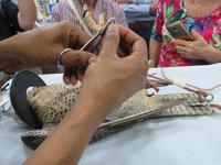 Falkenklinik Abu Dhabi