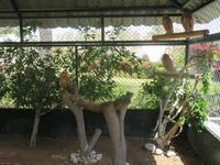 Falkenklinik Abu Dhabi