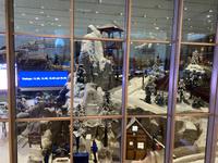 Skihalle in der Mall of the Emirates
