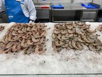 Fischmarkt in Sharjah - Souk al Jubail