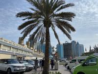 Am Blauen Souk - Sharjah