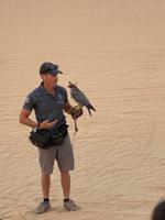 Falkenshow bei der Wüstensafari