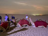 Kamelreiten zur Wüstensafari