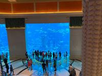 Aquarium im Atlantis Hotel - Dubai