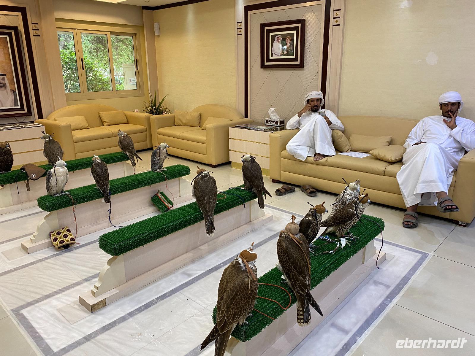 Falkenklinik in Abu Dhabi