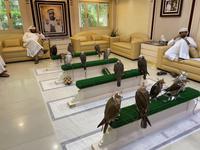 Falkenklinik in Abu Dhabi