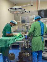 Falkenklinik in Abu Dhabi