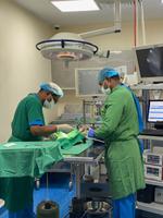 Falkenklinik in Abu Dhabi