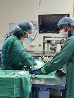 Frau Doktor Müller operiert heute höchstselbst