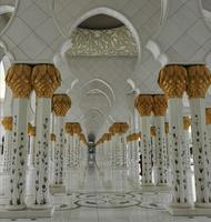 Die kunstvoll gestalteten Säulen der Moschee, Sheikh Zayed Moschee, Abu Dhabi