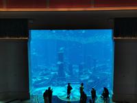Innerhalb des Atlantishotels gibt es ein riesiges Aquarium