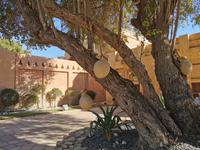 Unter Schatten spendenden Bäumen hängt kühles Wasser in Tonkrügen zur Erfrischung, Al Ain Palastmuseum