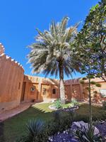 Auch hier darf die Dattelpalme nicht fehlen, Al Ain Palastmuseum, Abu Dhabi