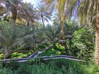 Die Falaj Systeme zur Bewässerung werden auf der arabischen Halbinsel seit Jahrtausenden verwendet