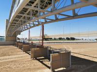 Die Kamelrennbahn in Abu Dhabi