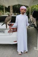 Reiche Emirati haben gleich zwei Falken