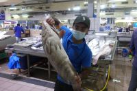 Fischmarkt Abu Dhabi