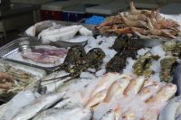 Fischmarkt Abu Dhabi