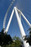 Dubai Eye