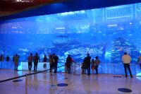 Aquarium in der Dubai Mall