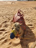 Dubai - Wüstensafari