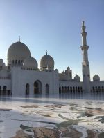 Abu Dhabi - Sheikh Zayed Moschee