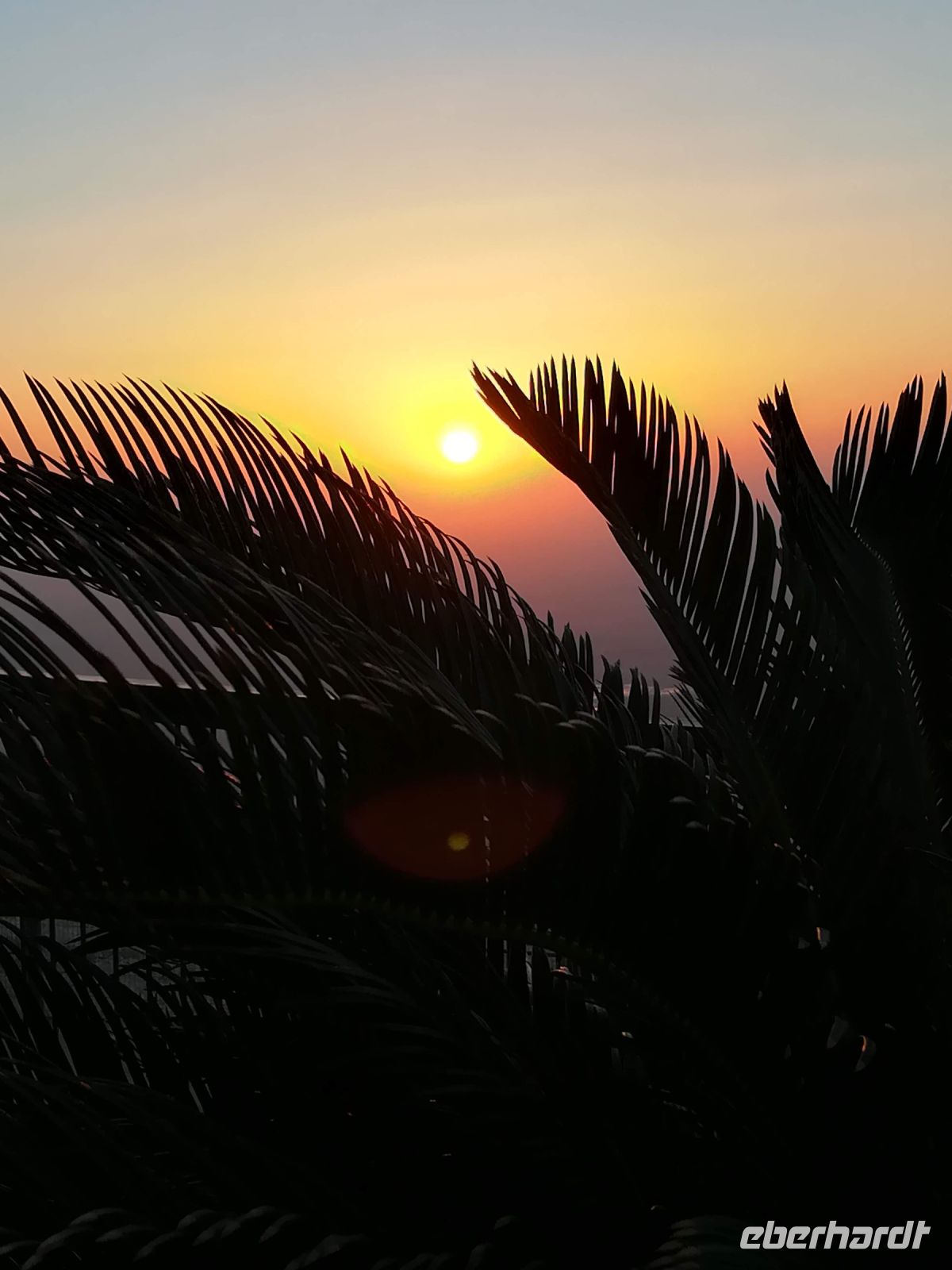 Al Ain - Sonnenuntergang am Jebel Hafeet