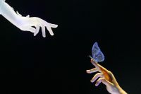 EXPO, Mobility Pavillon