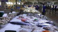 Abu Dhabi, Fischmarkt