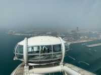 Fahrt mit Ain Dubai - dem höchsten Riesenrad der Welt