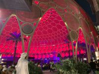 Besuch der EXPO - Al Wasl Plaza