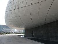 am Etihad Museum