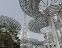 Freuen uns auf das Riesenrad