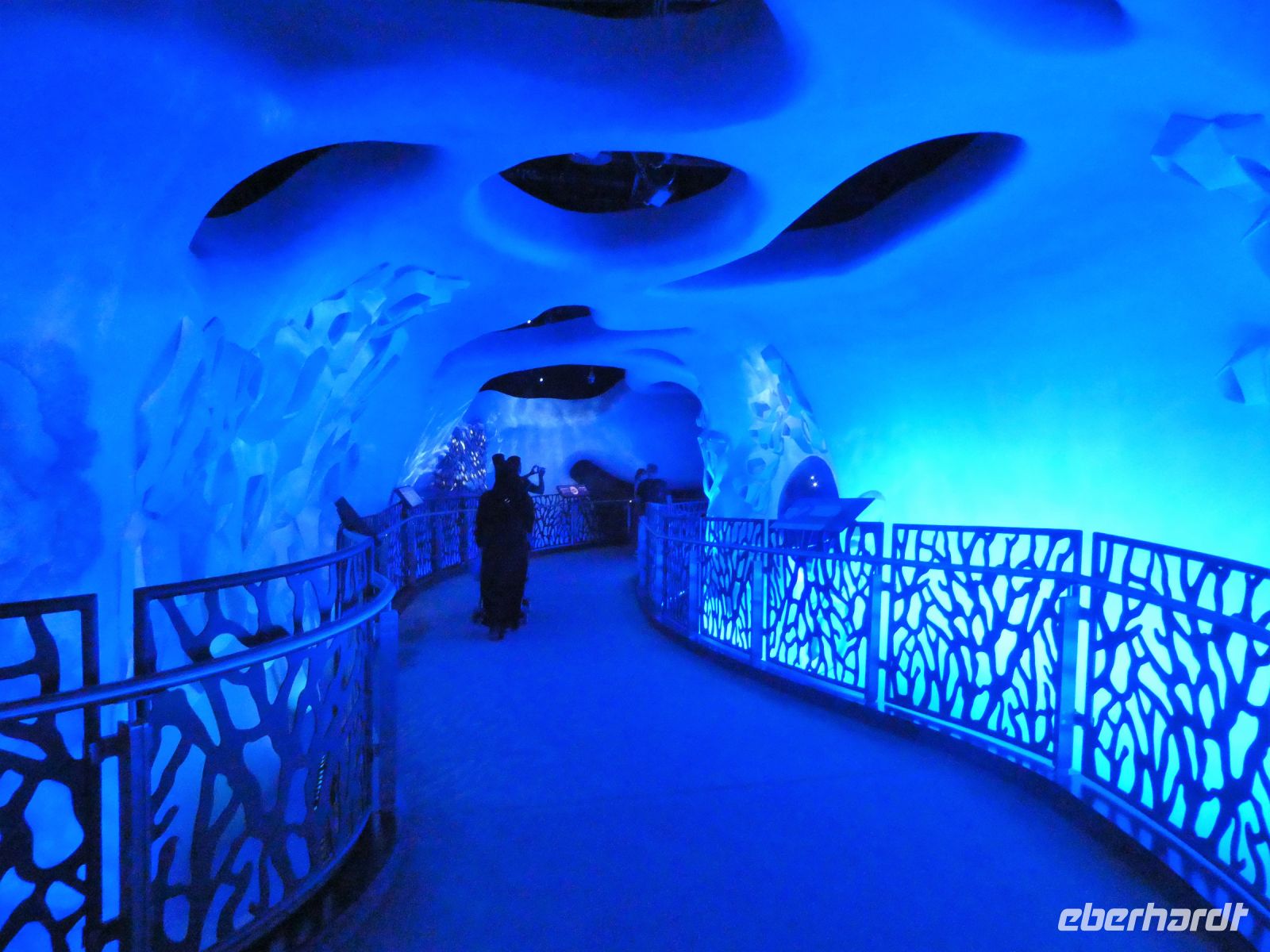 in der Unterwelt der Meere