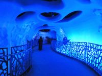 in der Unterwelt der Meere