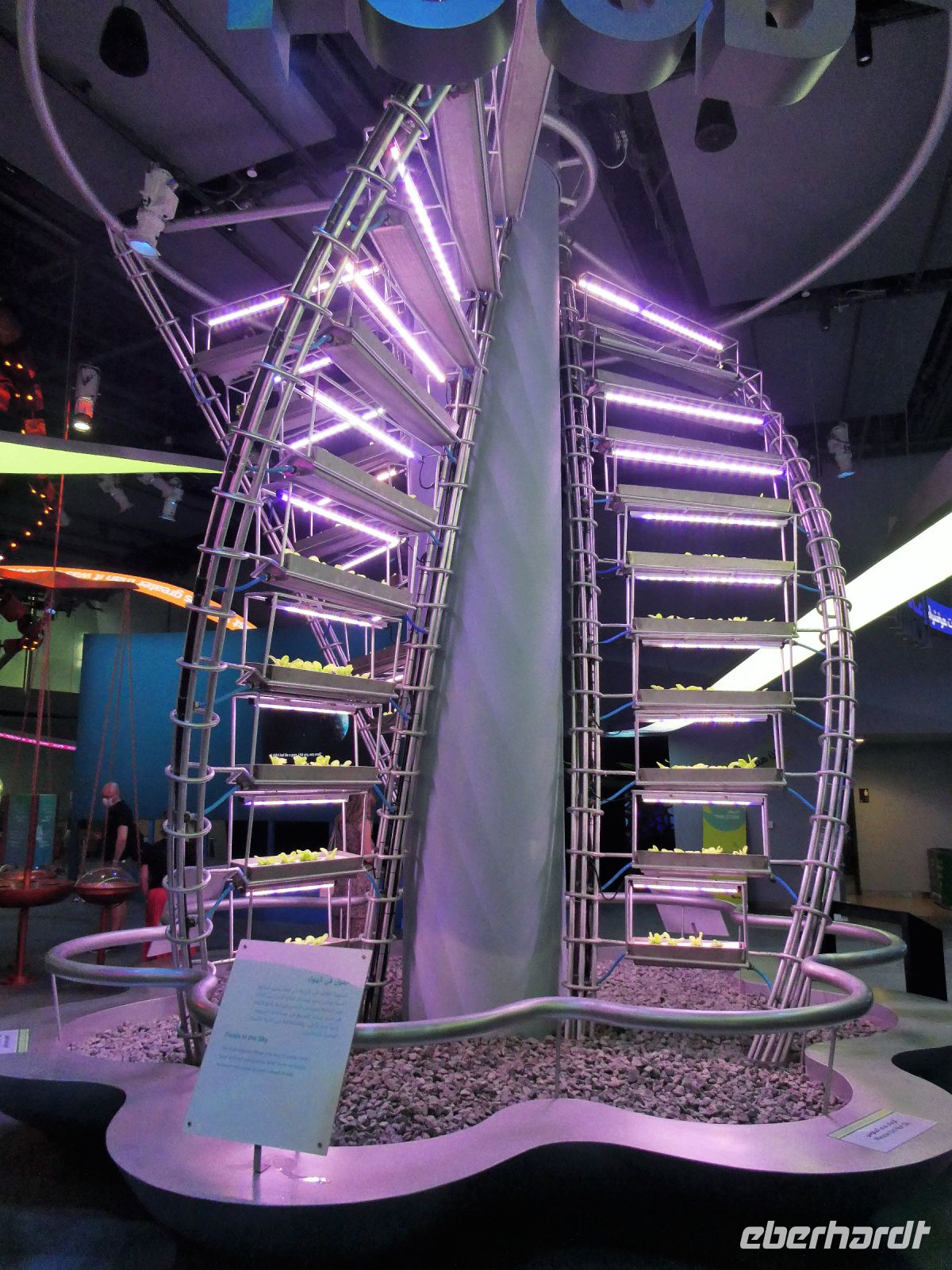 Pflanzenzucht nachhaltig