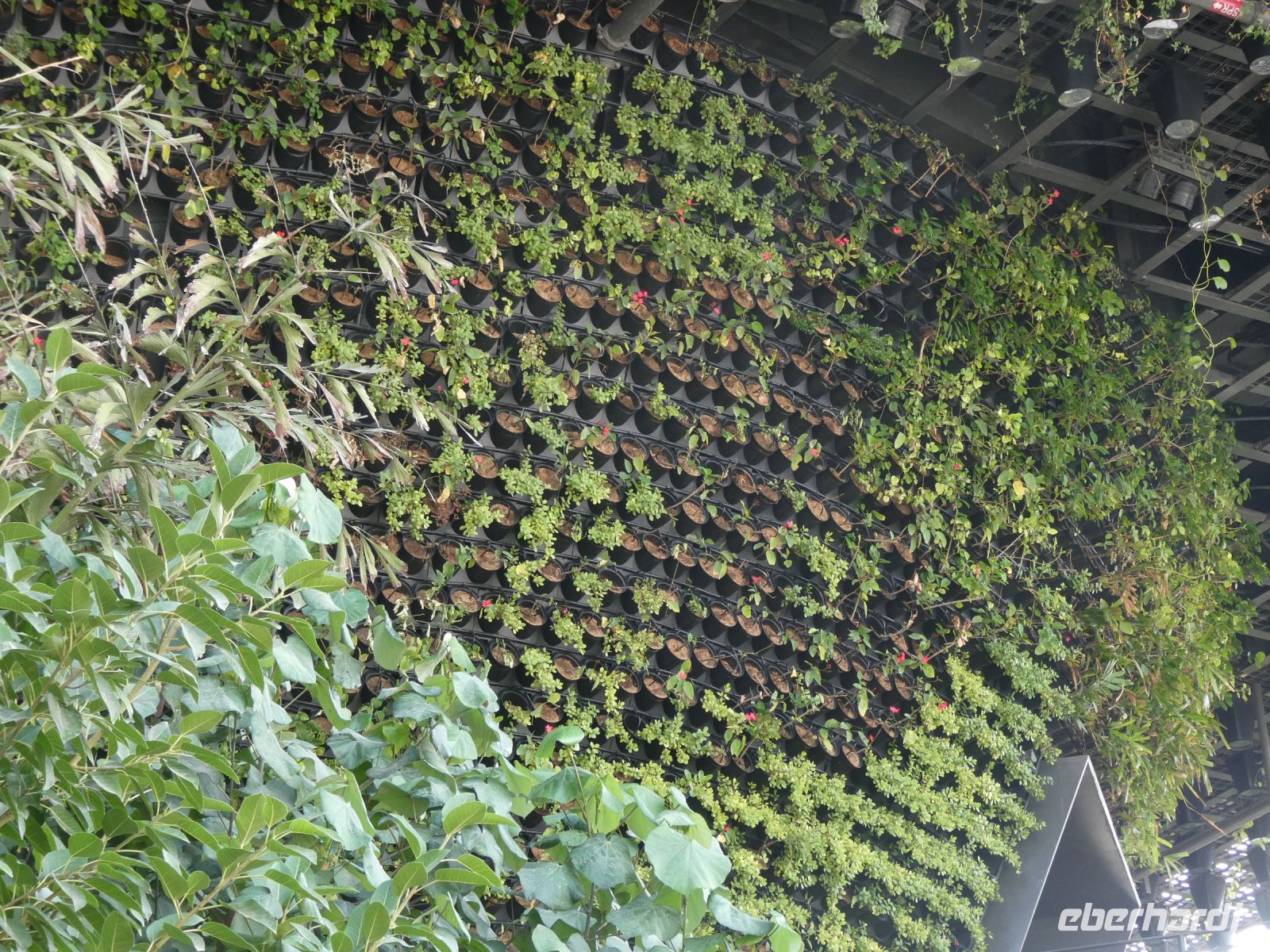 ausgefeilte Technologie