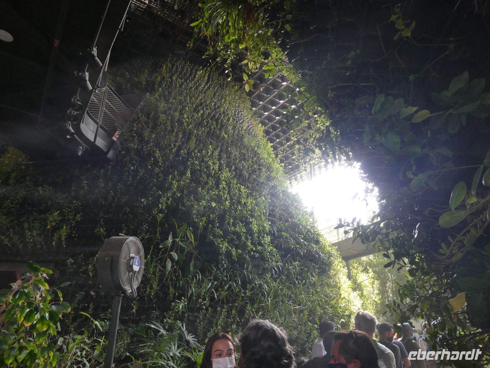 feinster Nebel sorgt für Kühle