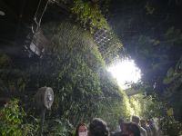 feinster Nebel sorgt für Kühle