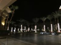 beleuchtete Palmen vor dem Atlantis-Hotel