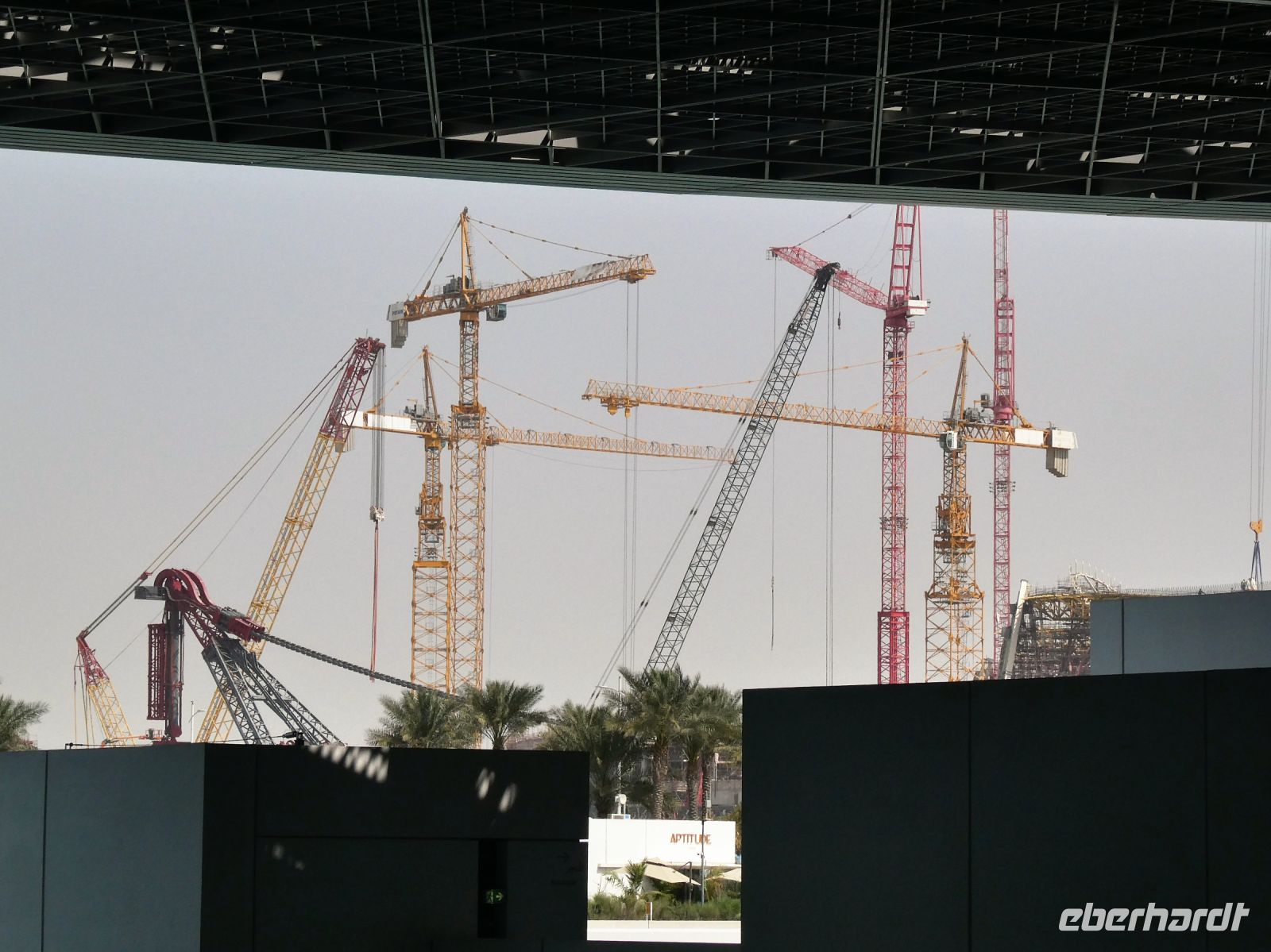 Tanz der Kräne in Abu Dhabi