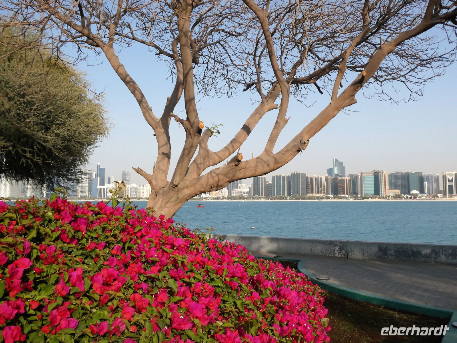 Blick auf die Skyline von Abu Dhabi