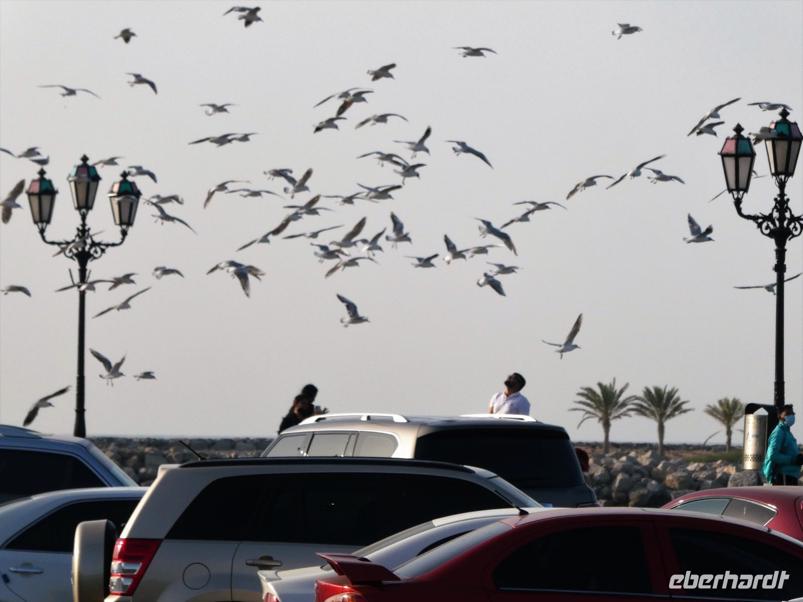 Vogeltreff zum Feierabend