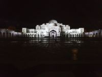 weiße Pracht in der Nacht