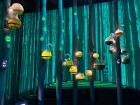 029D2DD3-C38A-4222-8334-88C0BF0F512C