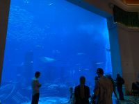 E8AAF07E-1D99-4CC9-8533-E0BAECCB9BCD