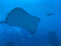 3E6D4BE2-3829-471C-9A79-1B610544D23D