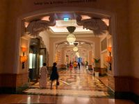 B6E4ABB6-697B-4B87-A2E5-51AE358269EC